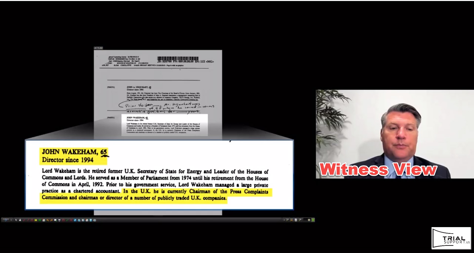 Zoom-deposition-exhibit share-with-callout-witness large view