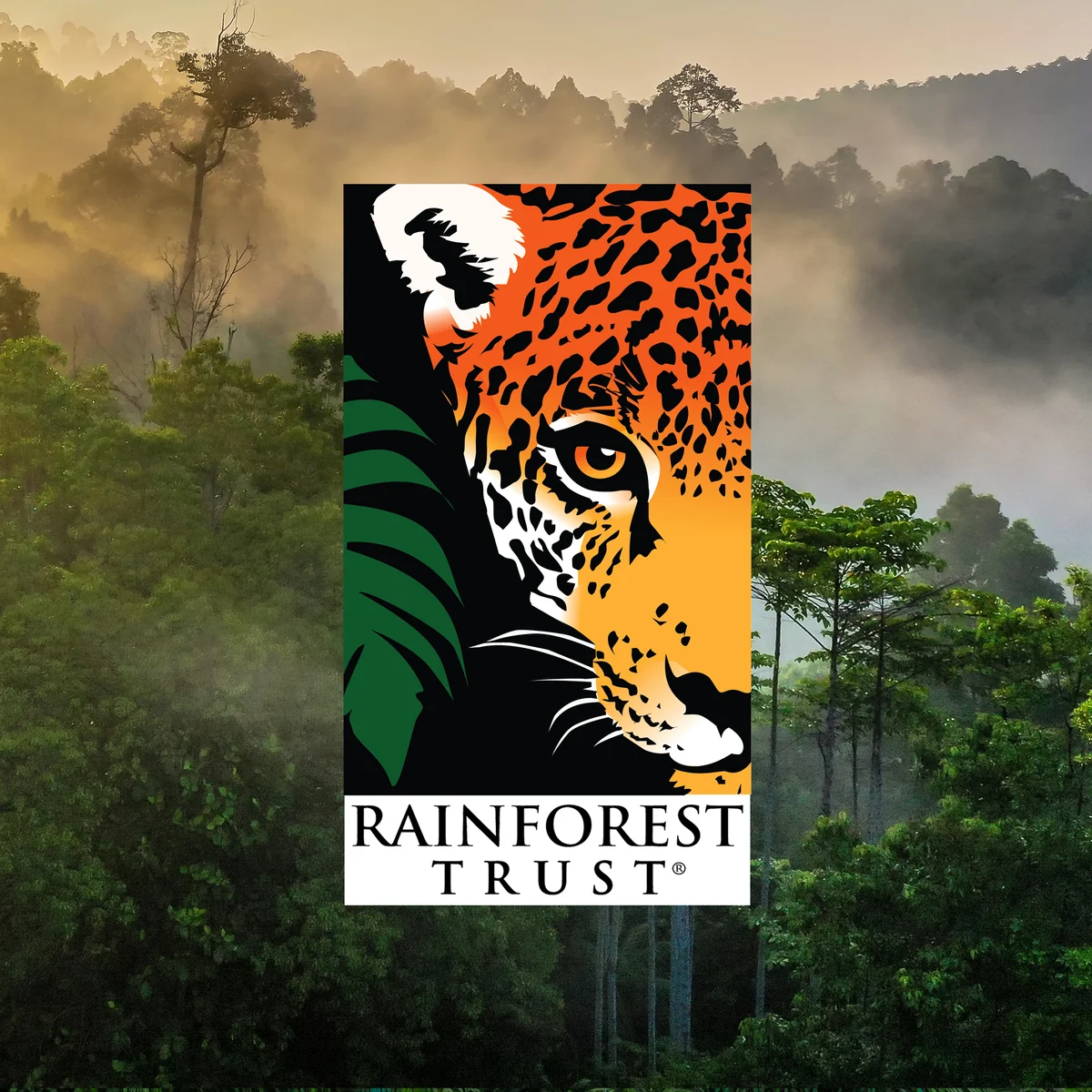 RainforestTrust_2048x2048