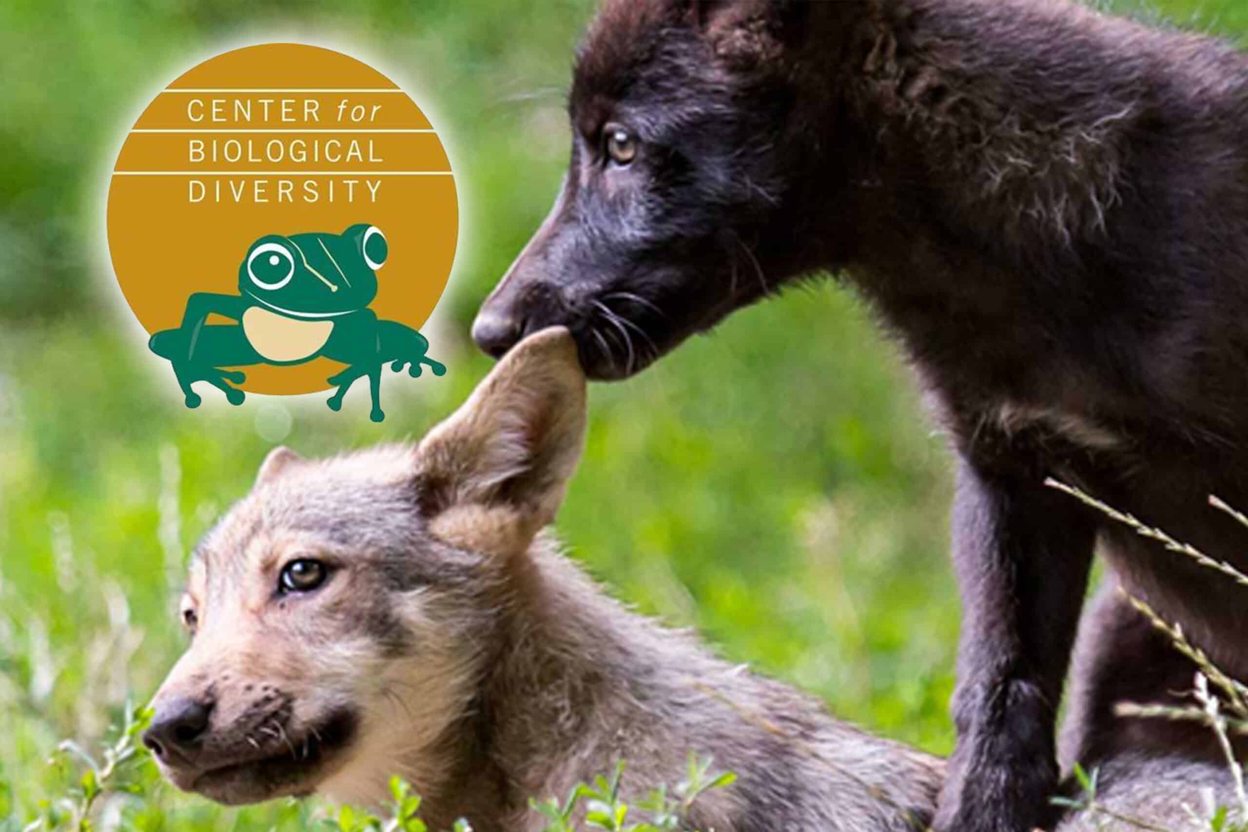 centerforbiologicaldiversity