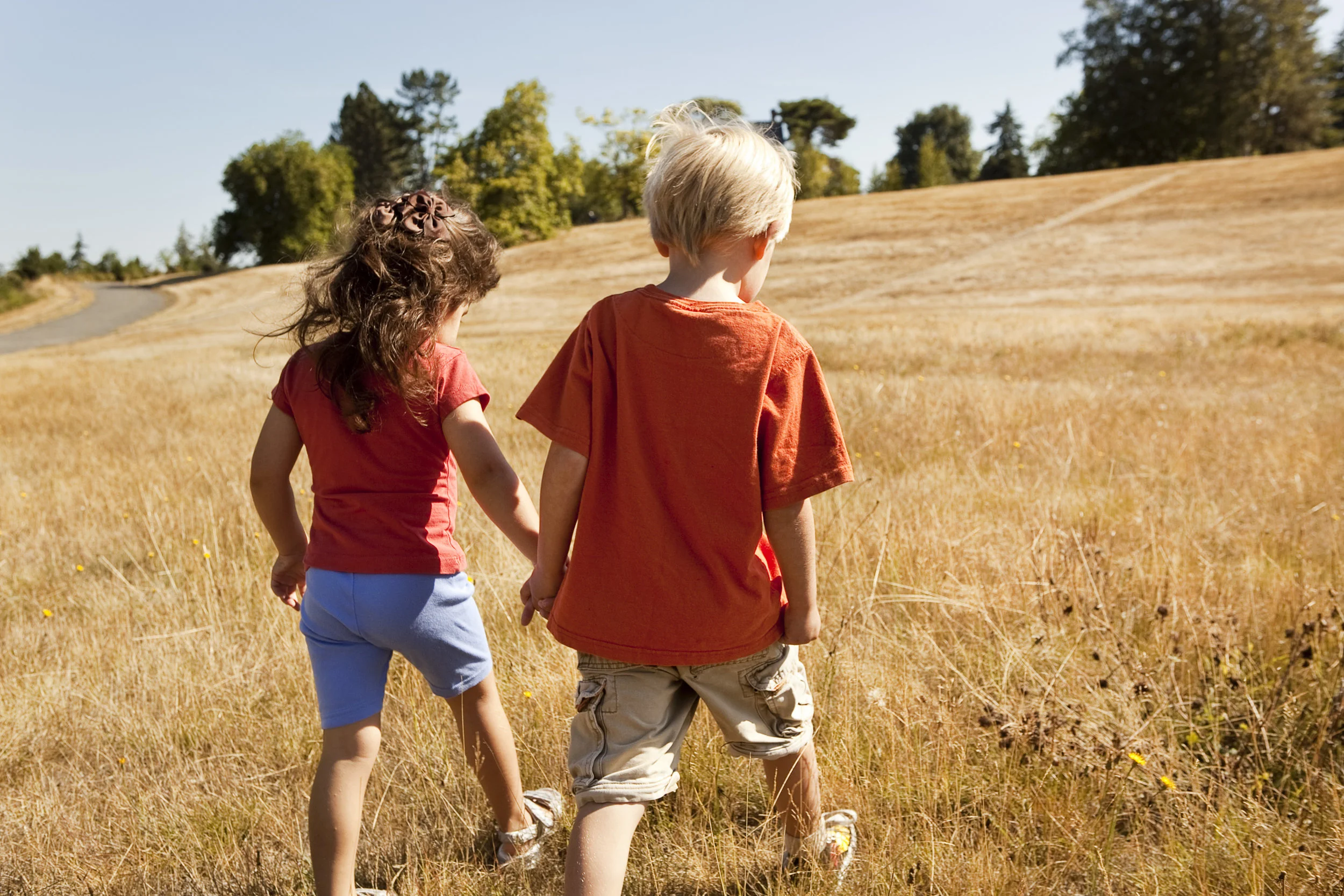 kids+in+field=advo-kids